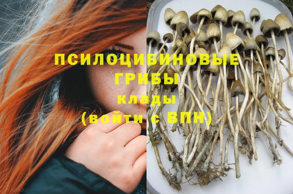 spice Арсеньев