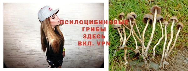 spice Арсеньев
