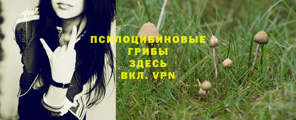 метадон Армянск