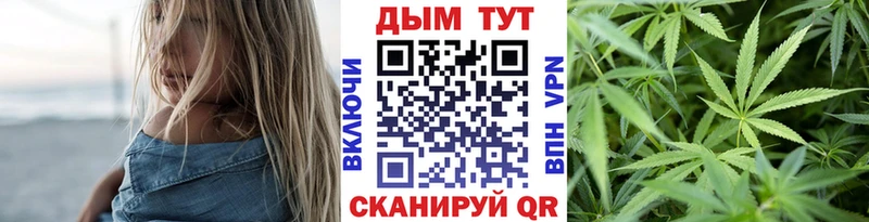 Бошки марихуана индика  что такое   Грайворон 